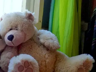 Teddybjørn på vinduet