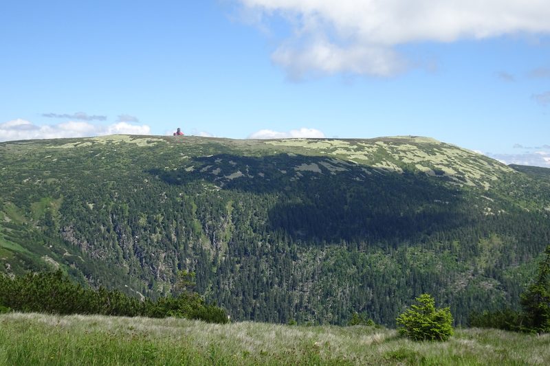 The Elbe Valley (Labský důl) in the Giant Mountains in summer (2021)