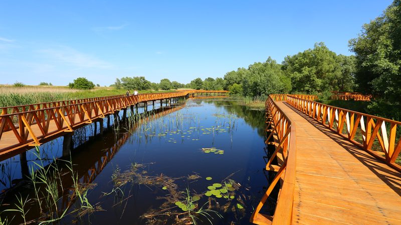 Kopački rit Nature Park in Slavonia