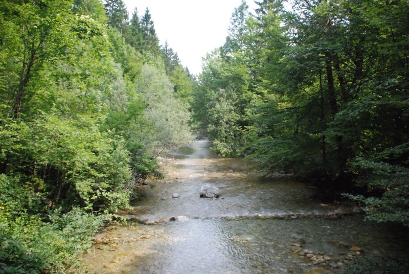 De kloof Iški Vintgar