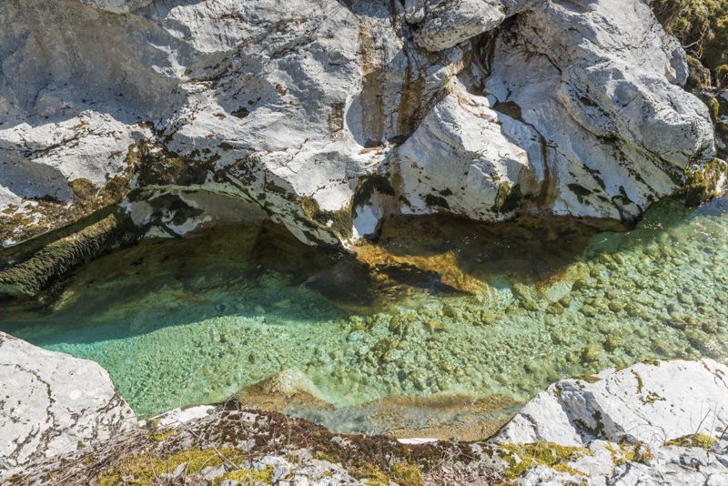 De turquoise Soča in Trenta
